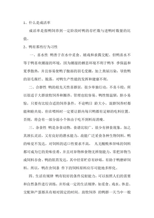 养鸭基础知识