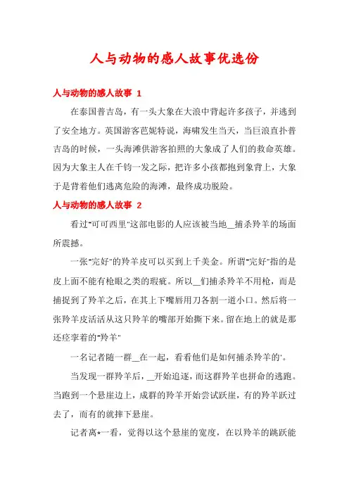 人与动物的感人故事优选份