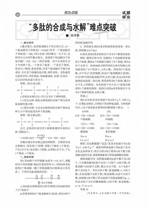 “多肽的合成与水解”难点突破