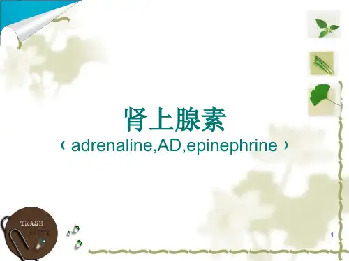常用抢救药物肾上腺素的临床应用及注意事项PPT课件