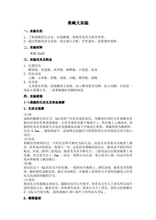 果蝇大实验综合版