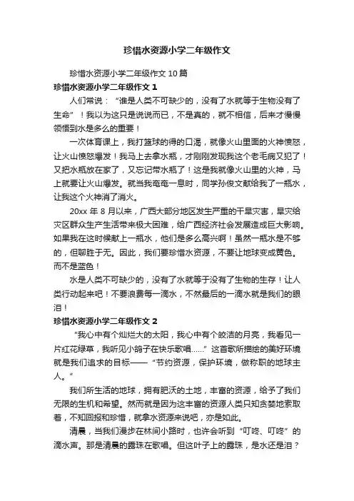 珍惜水资源小学二年级作文