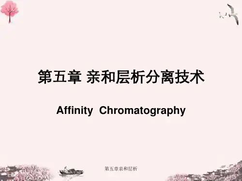 第五章亲和层析