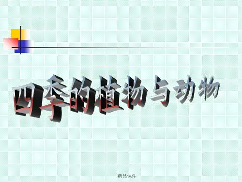 动植物是怎样过冬的