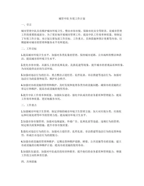 城管中队 年度工作计划