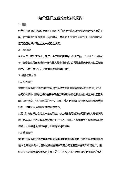 经营杠杆企业案例分析报告