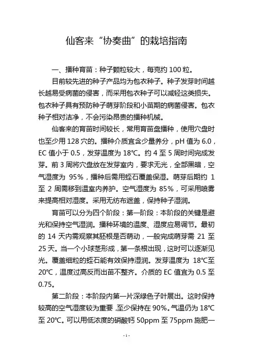仙客来“协奏曲”的栽培指南
