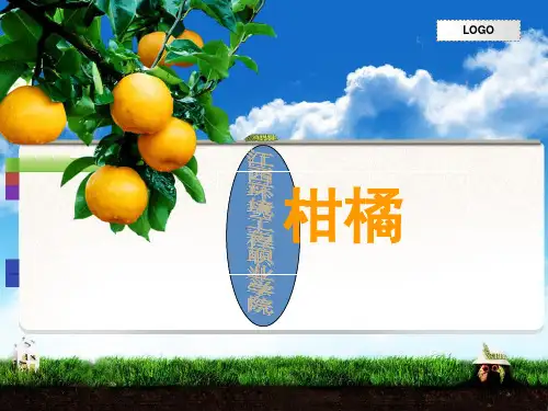 柑橘课件