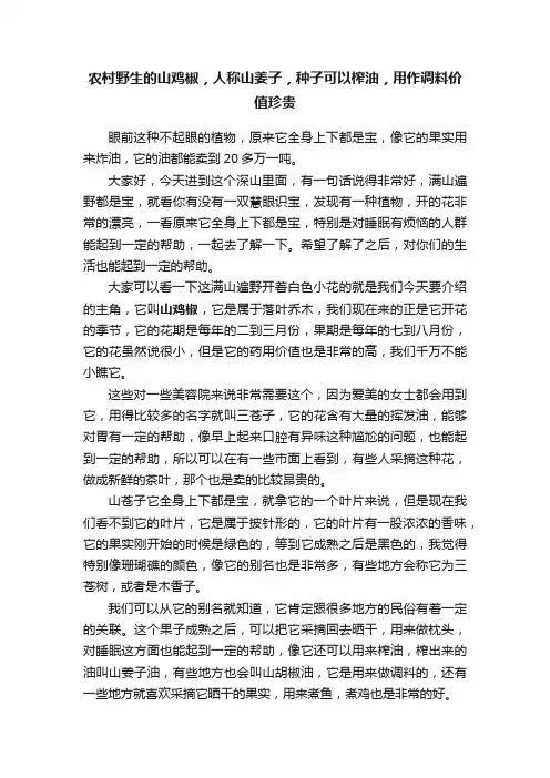 农村野生的山鸡椒，人称山姜子，种子可以榨油，用作调料价值珍贵