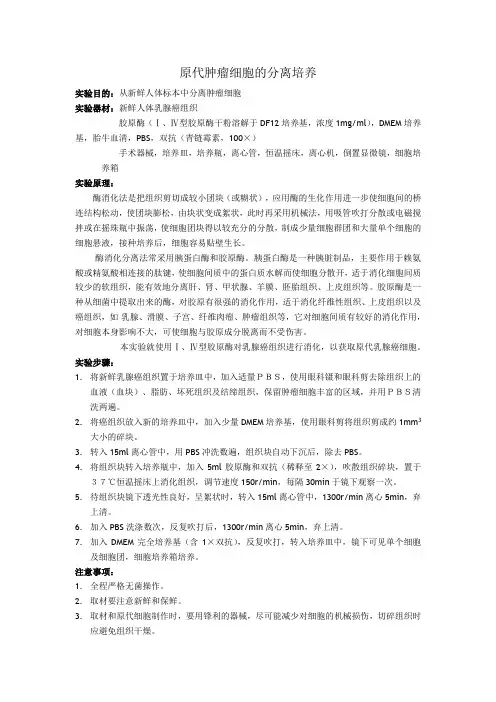 原代肿瘤细胞的分离培养