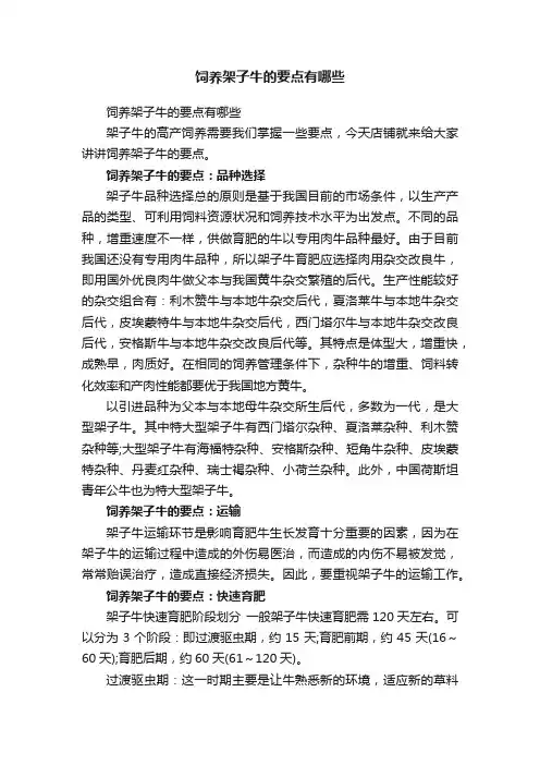 饲养架子牛的要点有哪些