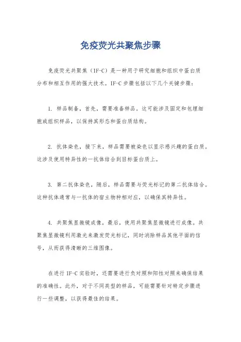 免疫荧光共聚焦步骤