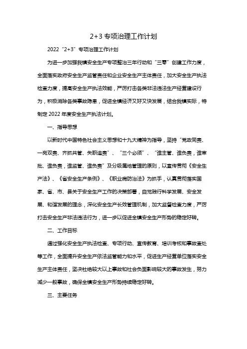 2+3专项治理工作计划