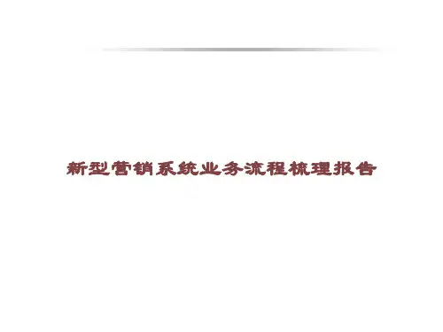 新型营销系统业务流程梳理报告课件