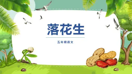 2《落花生》课件(共26张PPT)