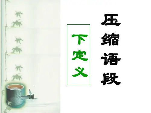 压缩语段之下定义资料