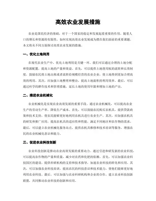 高效农业发展措施