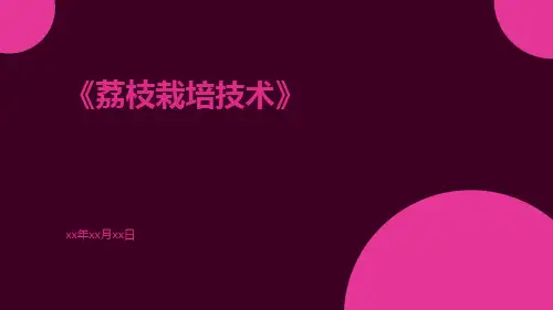 荔枝栽培技术