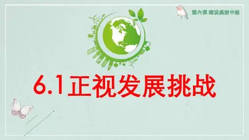 (核心素养目标)6.1正视发展挑战  课件  ( 39张ppt)