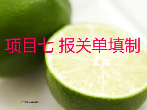 报关单填制