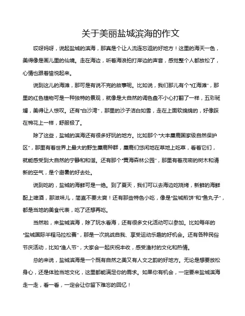 关于美丽盐城滨海的作文