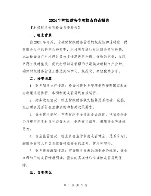 2024年村级财务专项检查自查报告