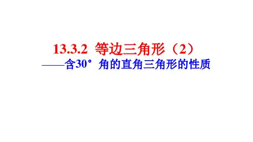 《等边三角形》课件PPT1