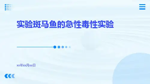 实验斑马鱼的急性毒性实验