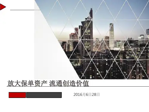 保单贷项目讲解(浦发培训版2016)(1)
