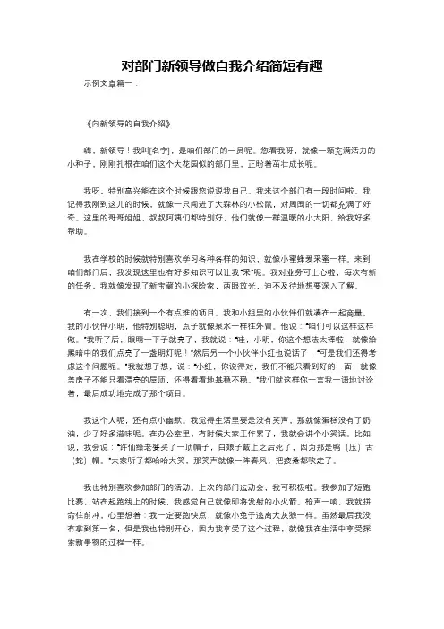 对部门新领导做自我介绍简短有趣