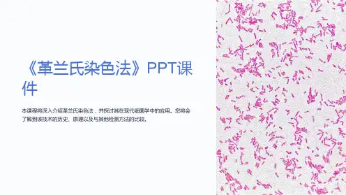 《革兰氏染色法》课件