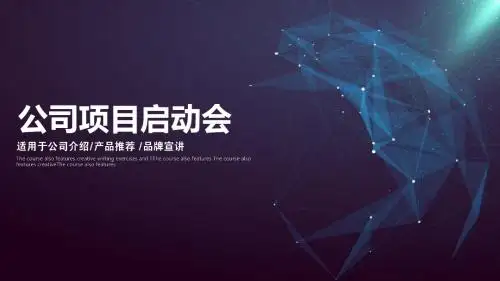 互联网金融企业宣传商业项目创业融资计划书PPT模板