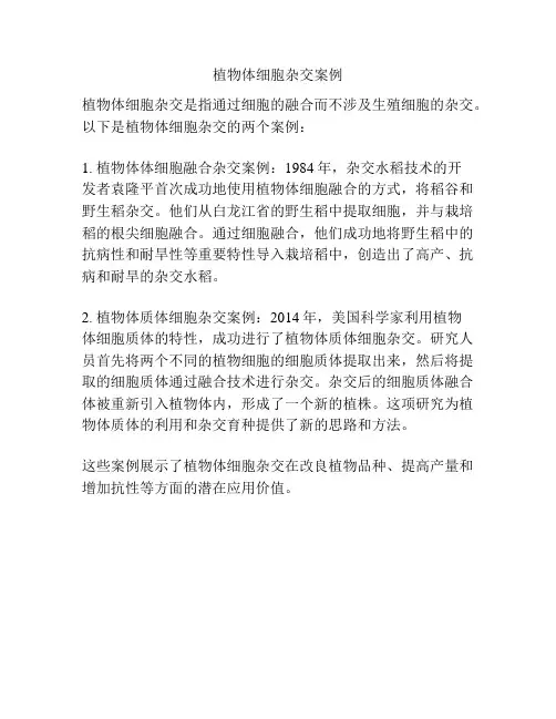 植物体细胞杂交案例