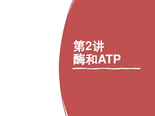第02讲 酶和ATP(课件)2023年高考生物二轮复习