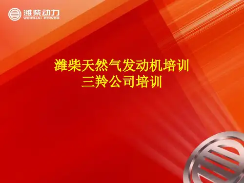 潍柴天然气发动机燃气电控系统PPT课件