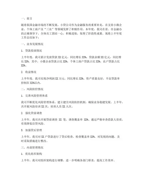 小贷公司半年度总结范文