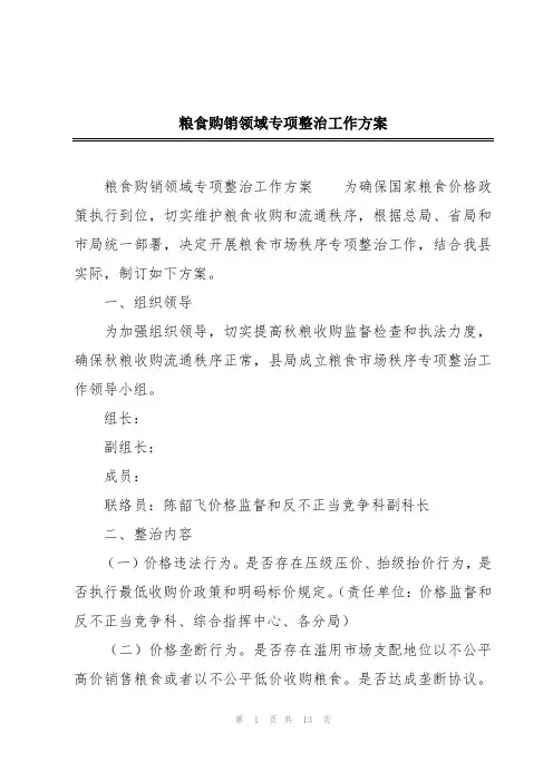 粮食购销领域专项整治工作方案