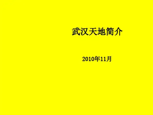 武汉天地简介