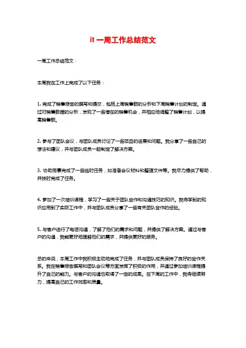 it一周工作总结范文