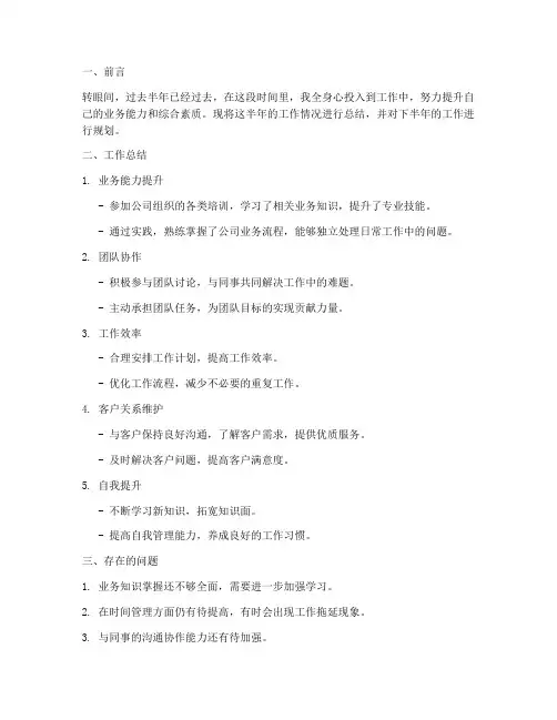 it半年工作总结及计划