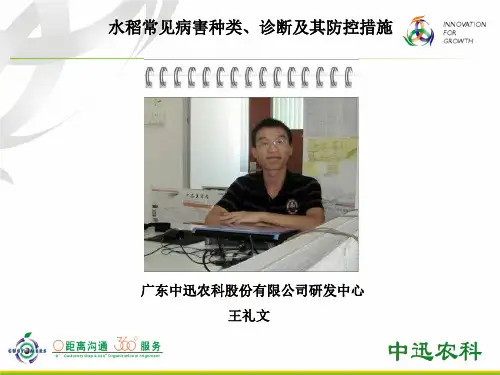 水稻常见病害种类、诊断及其防控措施二
