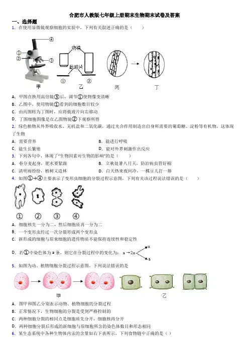 合肥市人教版七年级上册期末生物期末试卷及答案
