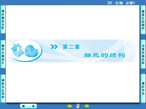 高中生物(浙科版)必修1课件：第2章-第1节细胞概述