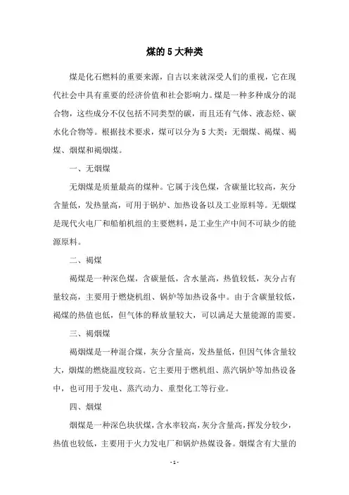 煤的5大种类