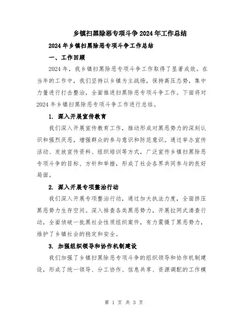乡镇扫黑除恶专项斗争2024年工作总结