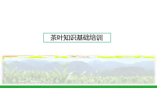 中国茶叶基础知识培训