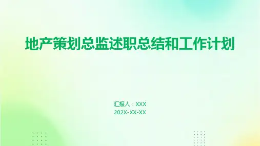 地产策划总监述职总结和工作计划PPT
