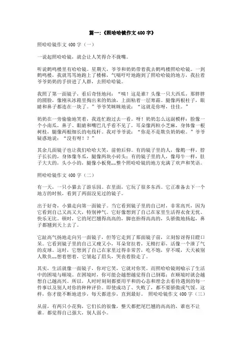 照镜子作文400字