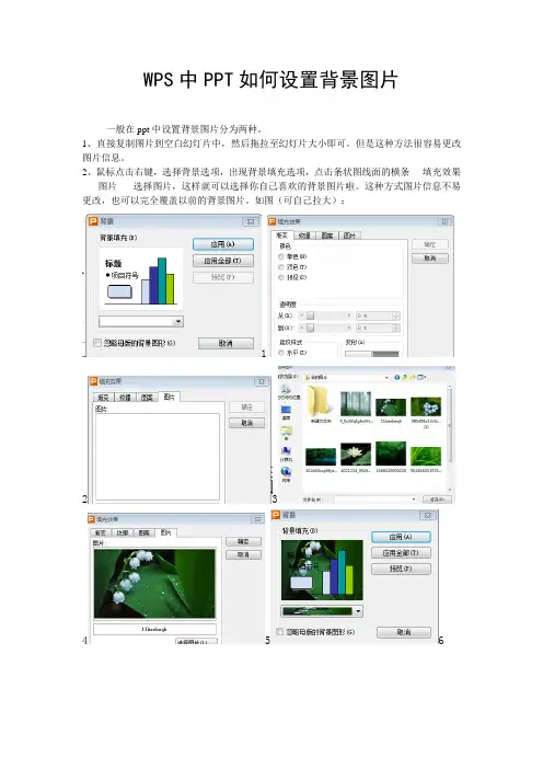WPS中PPT如何设置背景图片