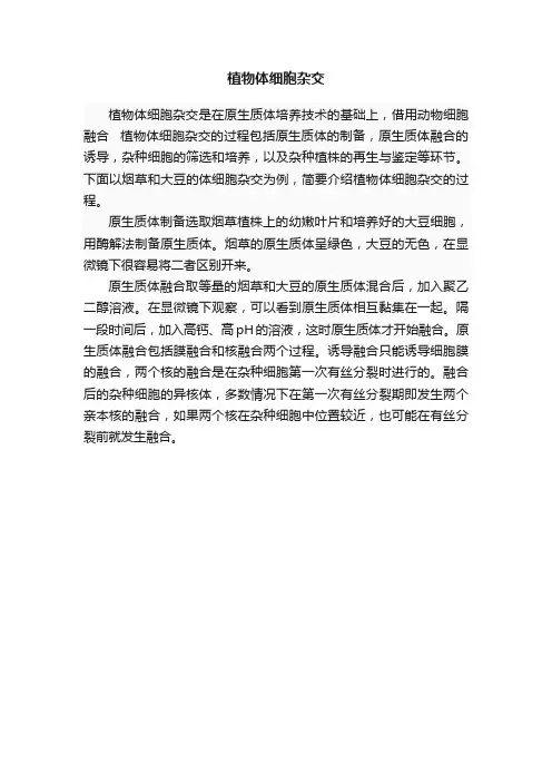 植物体细胞杂交